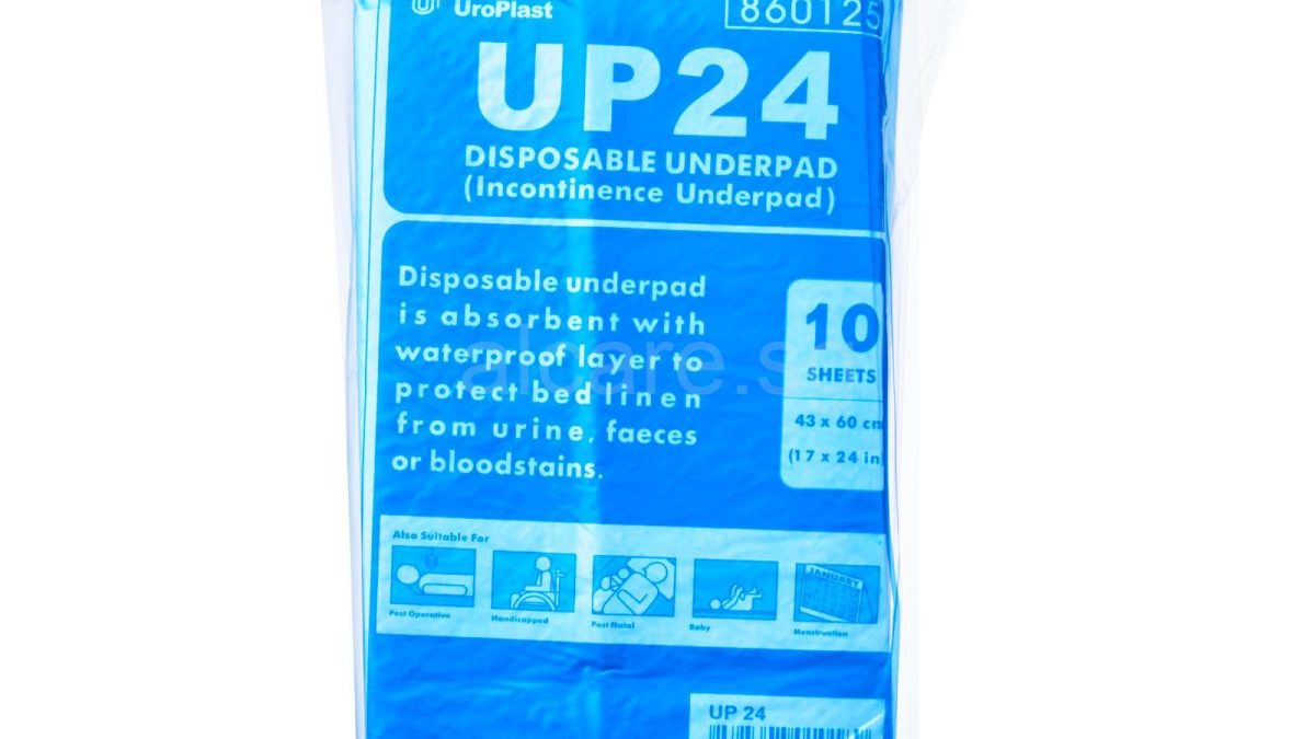 Underpad Disposable (Blue Sheet) 17